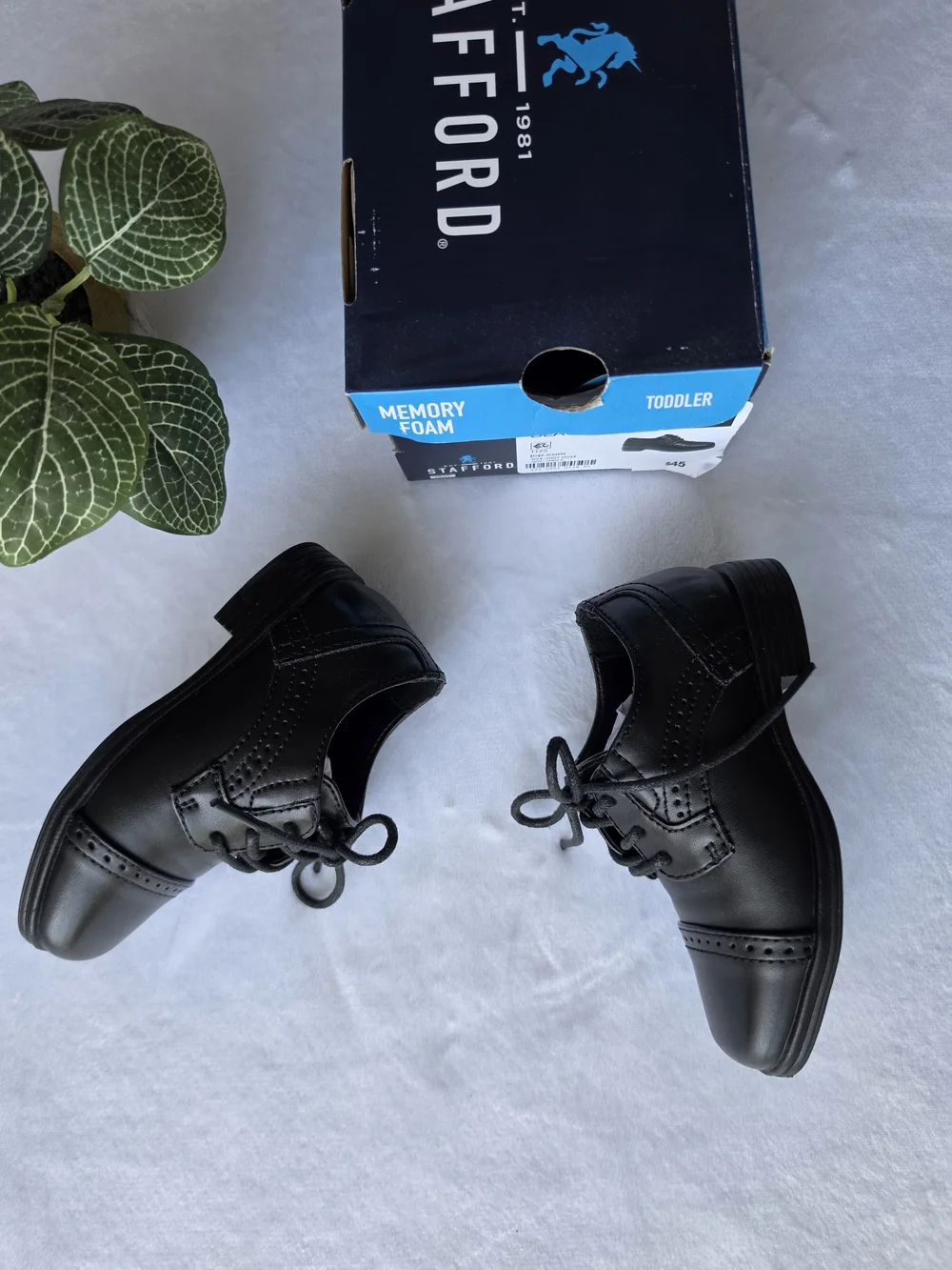Stafford Kids Black Lace-Up Dress Shoes